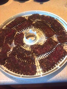 Beef Jerky 3