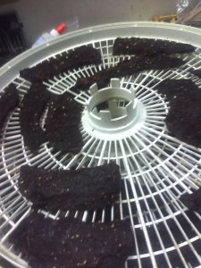 Beef Jerky 5